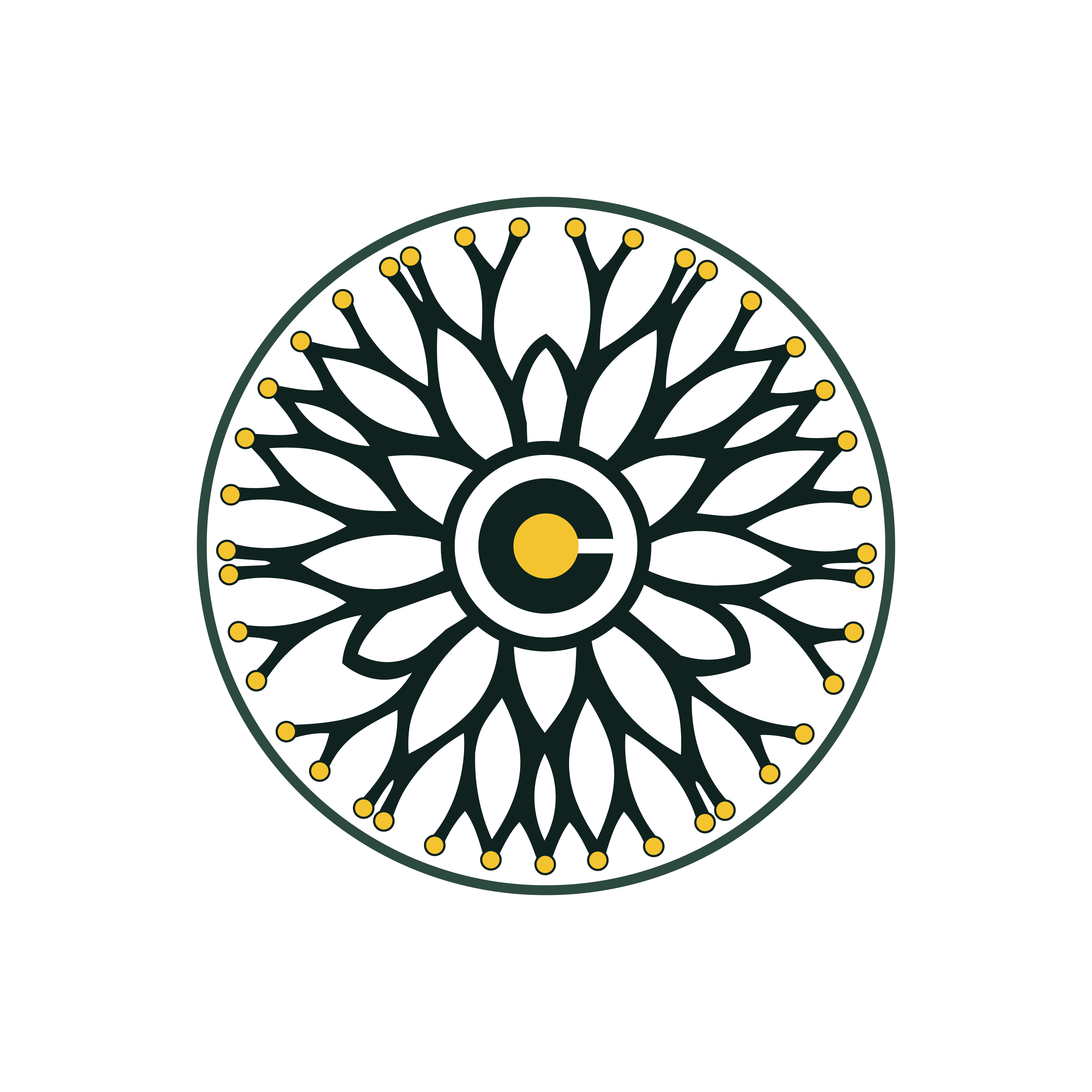 Omnipraxis Collective